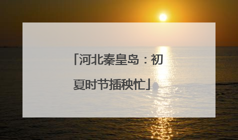河北秦皇岛：初夏时节插秧忙