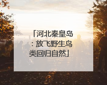河北秦皇岛：放飞野生鸟类回归自然