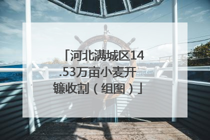 河北满城区14.53万亩小麦开镰收割（组图）