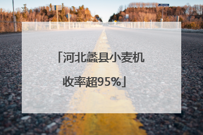 河北蠡县小麦机收率超95%