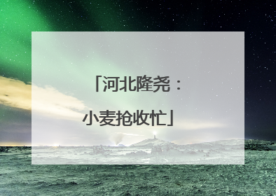 河北隆尧：小麦抢收忙