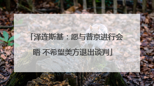 泽连斯基：愿与普京进行会晤 不希望美方退出谈判