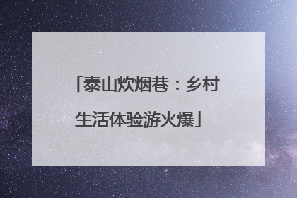 泰山炊烟巷：乡村生活体验游火爆