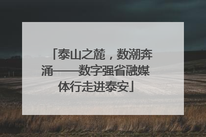 泰山之麓，数潮奔涌——数字强省融媒体行走进泰安
