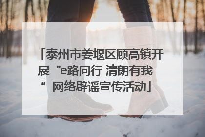 泰州市姜堰区顾高镇开展“e路同行 清朗有我”网络辟谣宣传活动