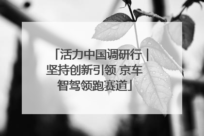 活力中国调研行｜坚持创新引领 京车智驾领跑赛道