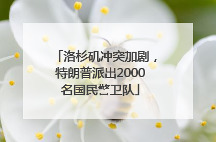 洛杉矶冲突加剧，特朗普派出2000名国民警卫队
