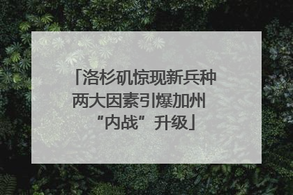 洛杉矶惊现新兵种 两大因素引爆加州“内战”升级