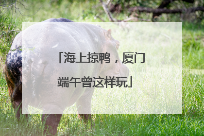 海上掠鸭，厦门端午曾这样玩