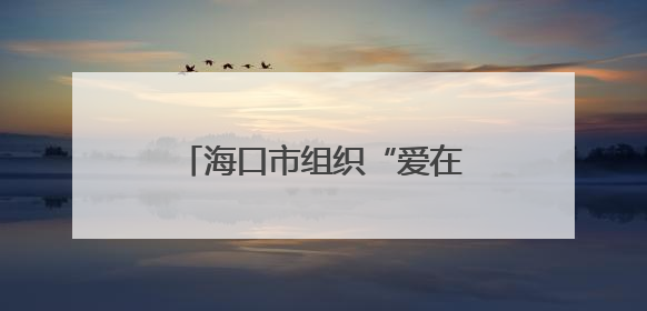 海口市组织“爱在椰城 情牵军营”军地青年联谊活动