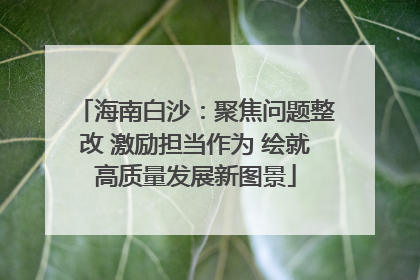 海南白沙：聚焦问题整改 激励担当作为 绘就高质量发展新图景