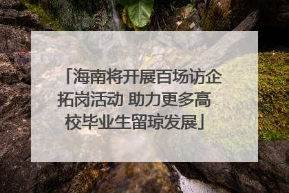 海南将开展百场访企拓岗活动 助力更多高校毕业生留琼发展