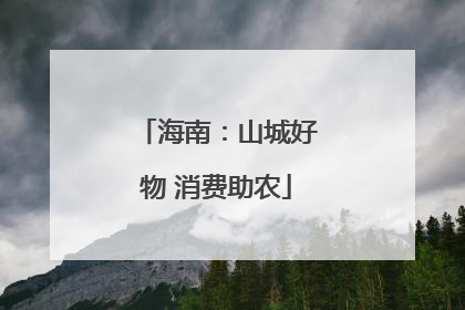 海南:山城好物 消费助农