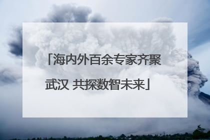海内外百余专家齐聚武汉 共探数智未来