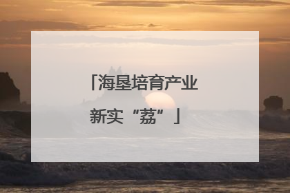 海垦培育产业新实“荔”