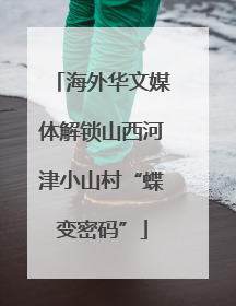 海外华文媒体解锁山西河津小山村“蝶变密码”