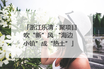 浙江乐清：聚项目吹“新”风 “海边小镇”成“热土”