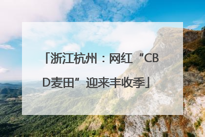 浙江杭州：网红“CBD麦田”迎来丰收季