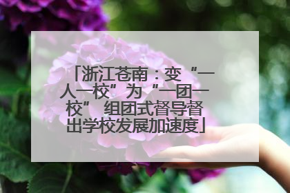 浙江苍南：变“一人一校”为“一团一校” 组团式督导督出学校发展加速度