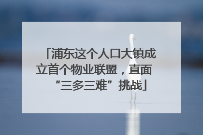 浦东这个人口大镇成立首个物业联盟，直面“三多三难”挑战