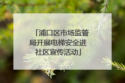 浦口区市场监管局开展电梯安全进社区宣传活动