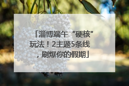 淄博端午“硬核”玩法！2主题5条线，刷爆你的假期