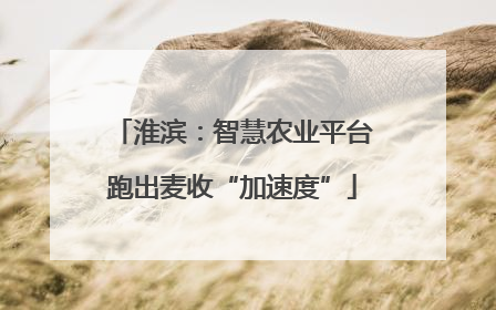 淮滨：智慧农业平台跑出麦收“加速度”