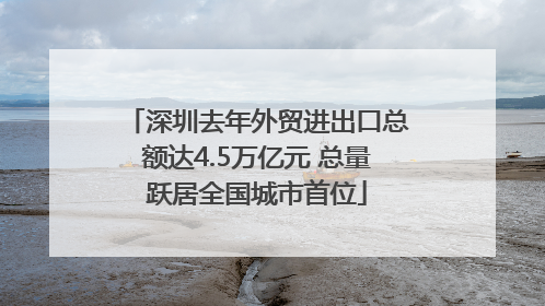 深圳去年外贸进出口总额达4.5万亿元 总量跃居全国城市首位
