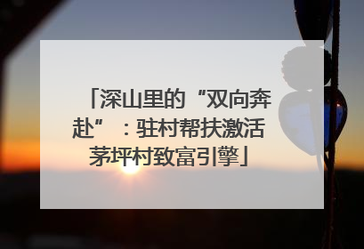 深山里的“双向奔赴”：驻村帮扶激活茅坪村致富引擎