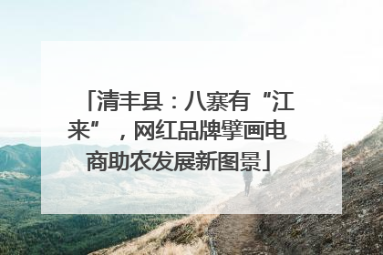 清丰县：八寨有“江来”，网红品牌擘画电商助农发展新图景
