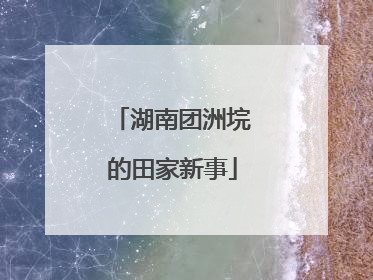 湖南团洲垸的田家新事