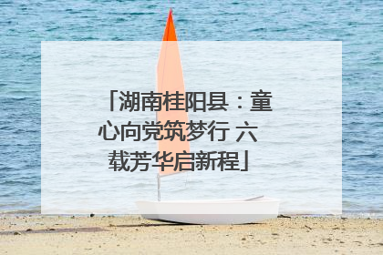 湖南桂阳县：童心向党筑梦行 六载芳华启新程
