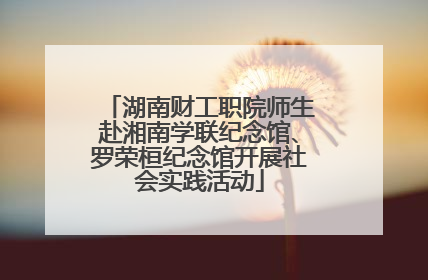 湖南财工职院师生赴湘南学联纪念馆、罗荣桓纪念馆开展社会实践活动