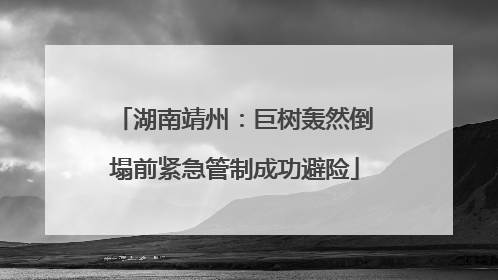 湖南靖州：巨树轰然倒塌前紧急管制成功避险