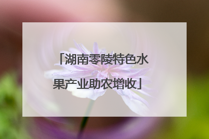 湖南零陵特色水果产业助农增收