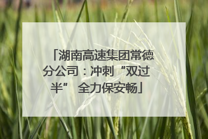 湖南高速集团常德分公司：冲刺“双过半” 全力保安畅