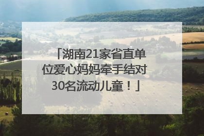 湖南21家省直单位爱心妈妈牵手结对30名流动儿童！