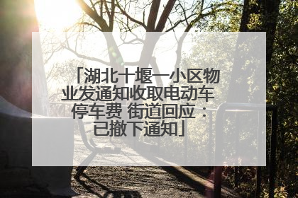 湖北十堰一小区物业发通知收取电动车停车费 街道回应：已撤下通知