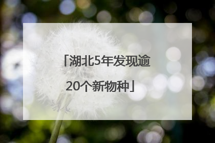湖北5年发现逾20个新物种