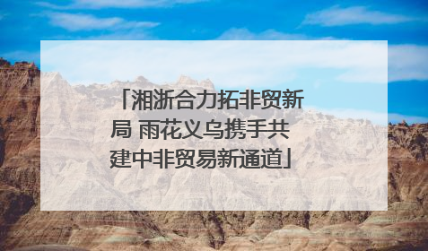 湘浙合力拓非贸新局 雨花义乌携手共建中非贸易新通道