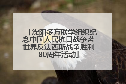 溧阳多方联学组织纪念中国人民抗日战争暨世界反法西斯战争胜利80周年活动