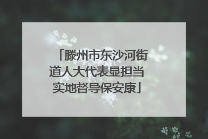 滕州市东沙河街道人大代表显担当实地督导保安康