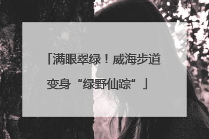 满眼翠绿！威海步道变身“绿野仙踪”