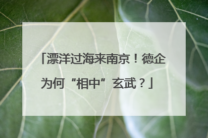 漂洋过海来南京！德企为何“相中”玄武？