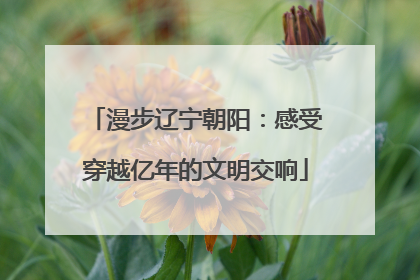 漫步辽宁朝阳：感受穿越亿年的文明交响