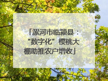 漯河市临颍县：“数字化”樱桃大棚助推农户增收