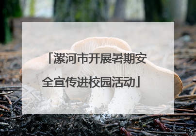 漯河市开展暑期安全宣传进校园活动