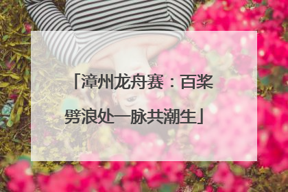 漳州龙舟赛：百桨劈浪处一脉共潮生