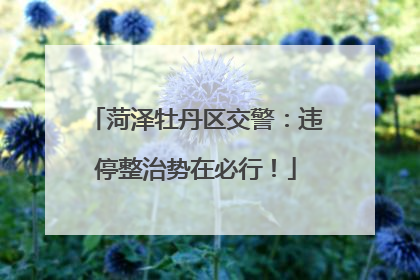 菏泽牡丹区交警：违停整治势在必行！