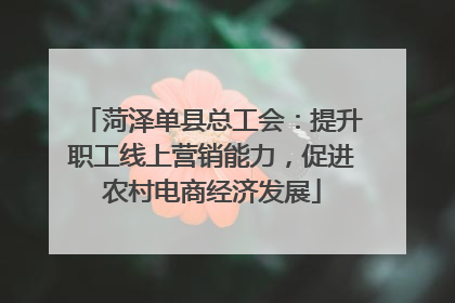 菏泽单县总工会：提升职工线上营销能力，促进农村电商经济发展